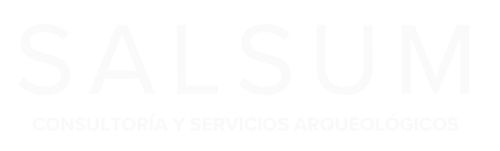 logo salsum web